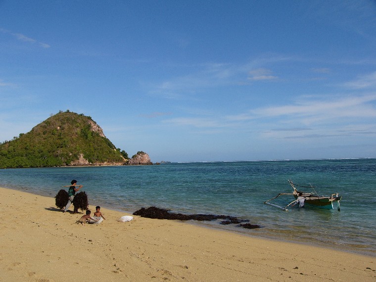culture des algues kuta lombok